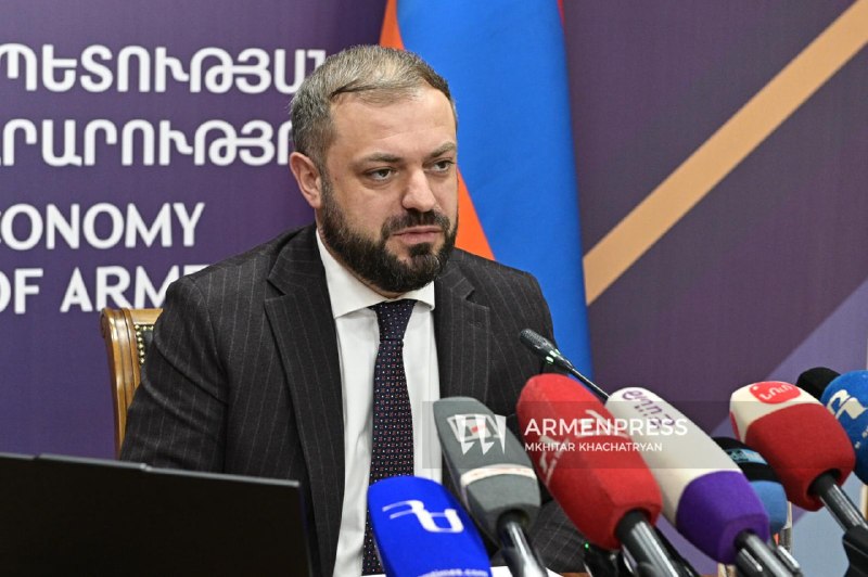 Пресс-секретарь Минэкономики опровергла фейк о письме Папояна Алиханову
