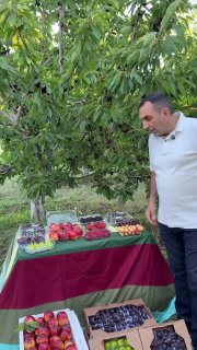 Первая партия армянских фруктов из Араратской области отправлена в ОАЭ