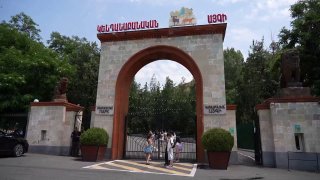 Тигры и львы в карантинной зоне Ереванского зоопарка после перевозки из особняка Царукяна